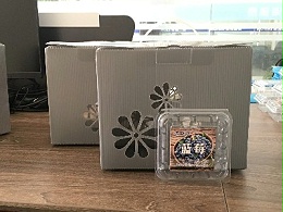 中空板蓝莓礼品盒