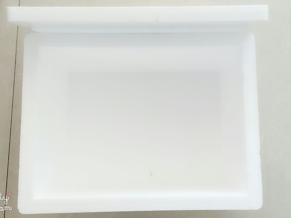 冷链电商邮政专用箱